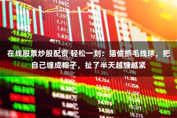 在线股票炒股配资 轻松一刻：猫偷抓毛线球，把自己缠成粽子，扯了半天越缠越紧